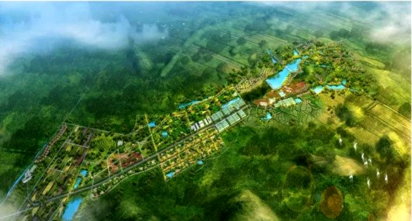 水肥一體化 水肥一體化